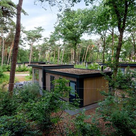 Forestlodge In Het Vechtdal - 5 Persoons Hardenberg Eksteriør billede